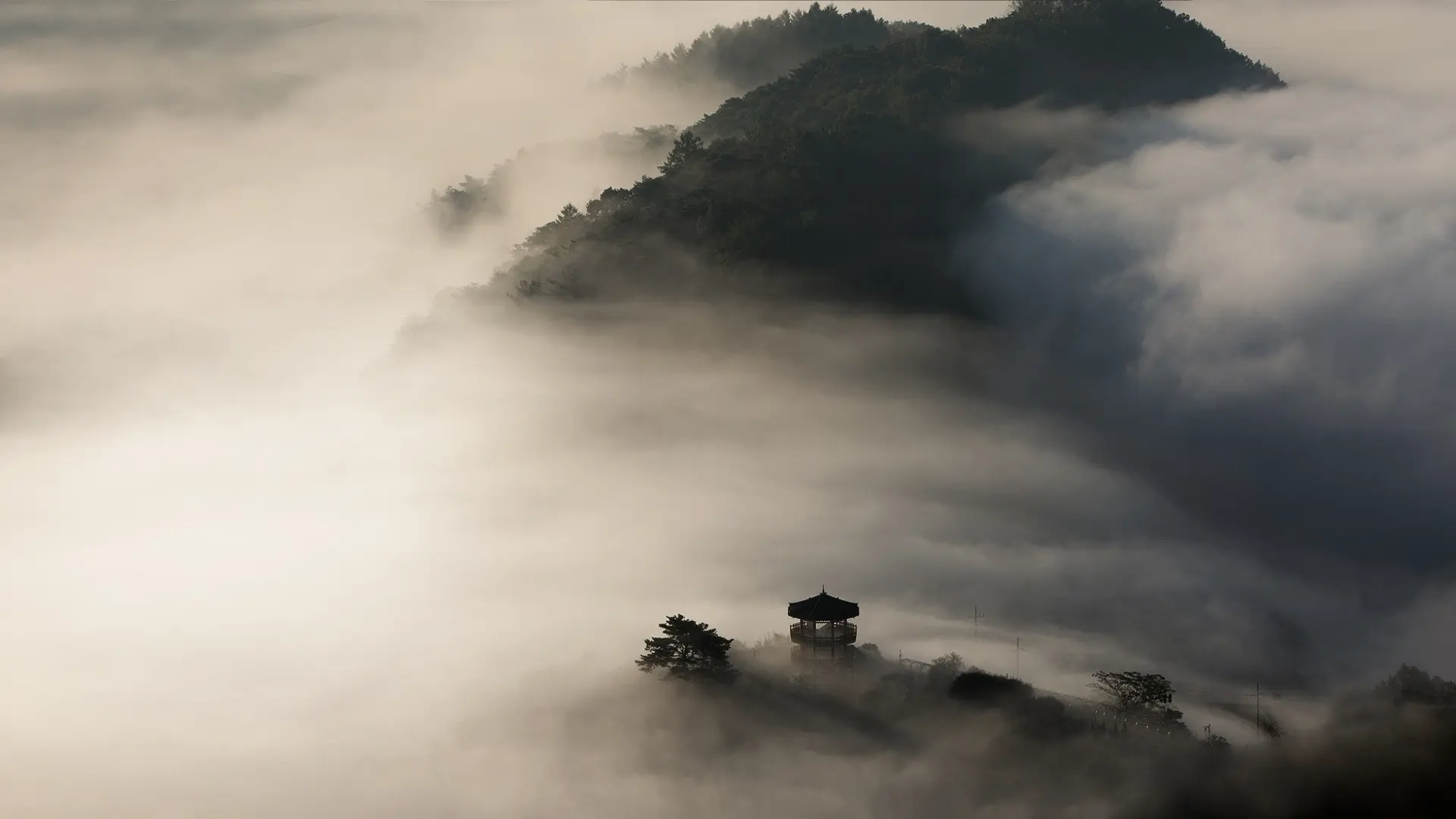 Wallpaper de pureOS